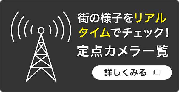 定点カメラ